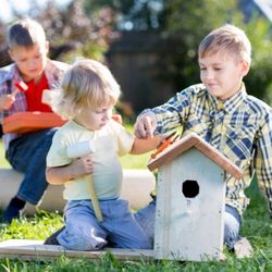 pedagogie active développe la créativité